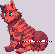 Pet