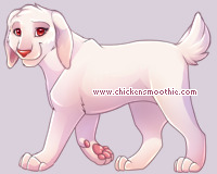 Pet