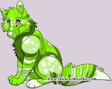 Pet