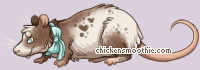 Pet