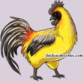 Pet