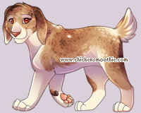 Pet