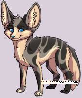 Pet