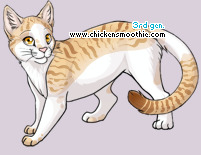 Pet