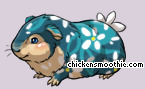Pet