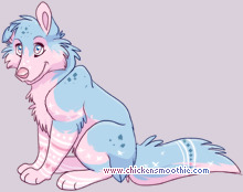 Pet