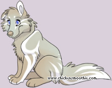 Pet