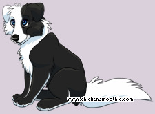 Pet