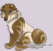Pet