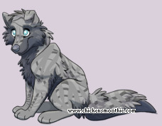 Pet