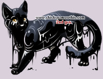 Pet