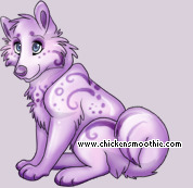 Pet