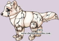 Pet