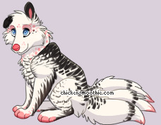 Pet
