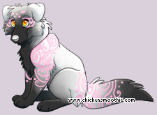 Pet