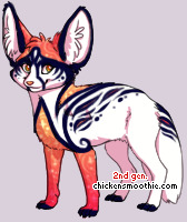 Pet