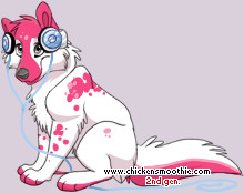 Pet