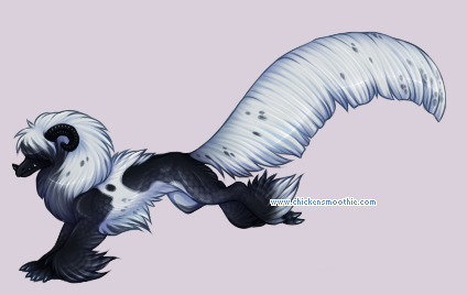 Pet