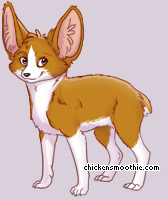Pet