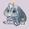 Pet