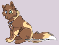 Pet
