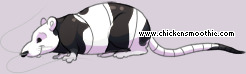 Pet