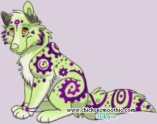 Pet