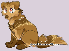 Pet