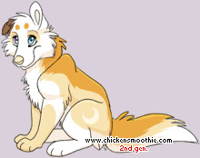 Pet