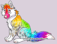 Pet
