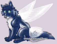 Pet