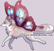 Pet