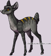 Pet