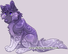 Pet