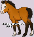 Pet