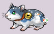 Pet