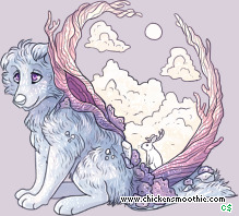Pet