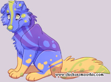 Pet