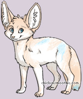 Pet