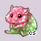 Pet