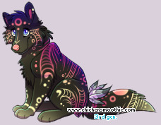 Pet