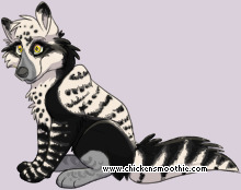 Pet