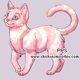Pet