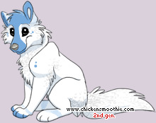 Pet