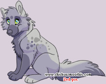Pet