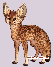 Pet