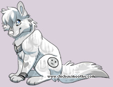 Pet