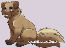 Pet
