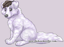 Pet