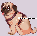 Pet